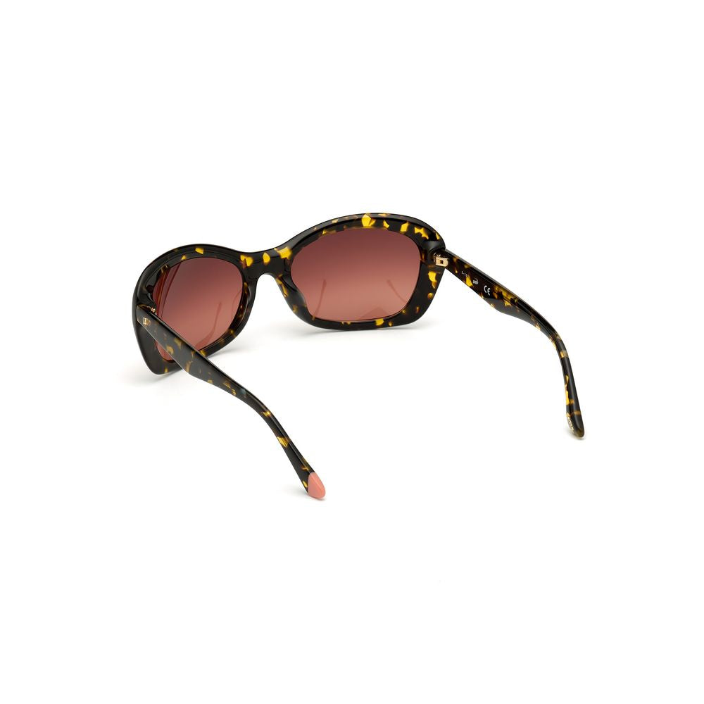 WEB EYEWEAR Women’s Sunglasses – Brown Gradient Plastic Frame