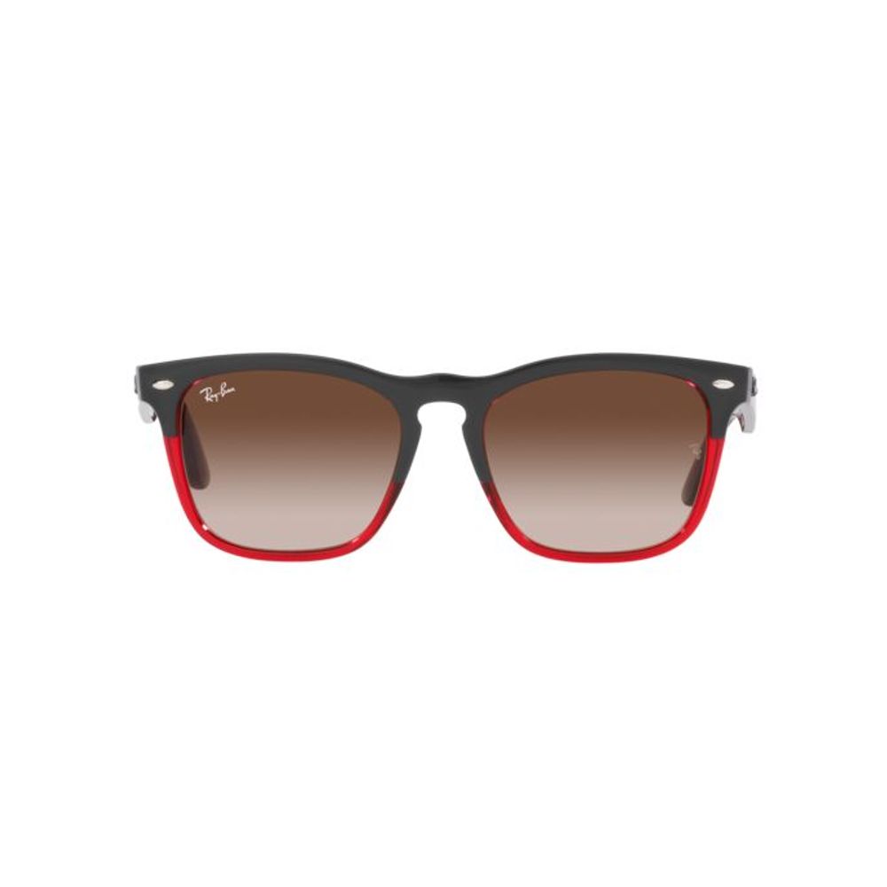 Ray-Ban Unisex Sunglasses – Multicolour Nylon Frame, Brown Lenses