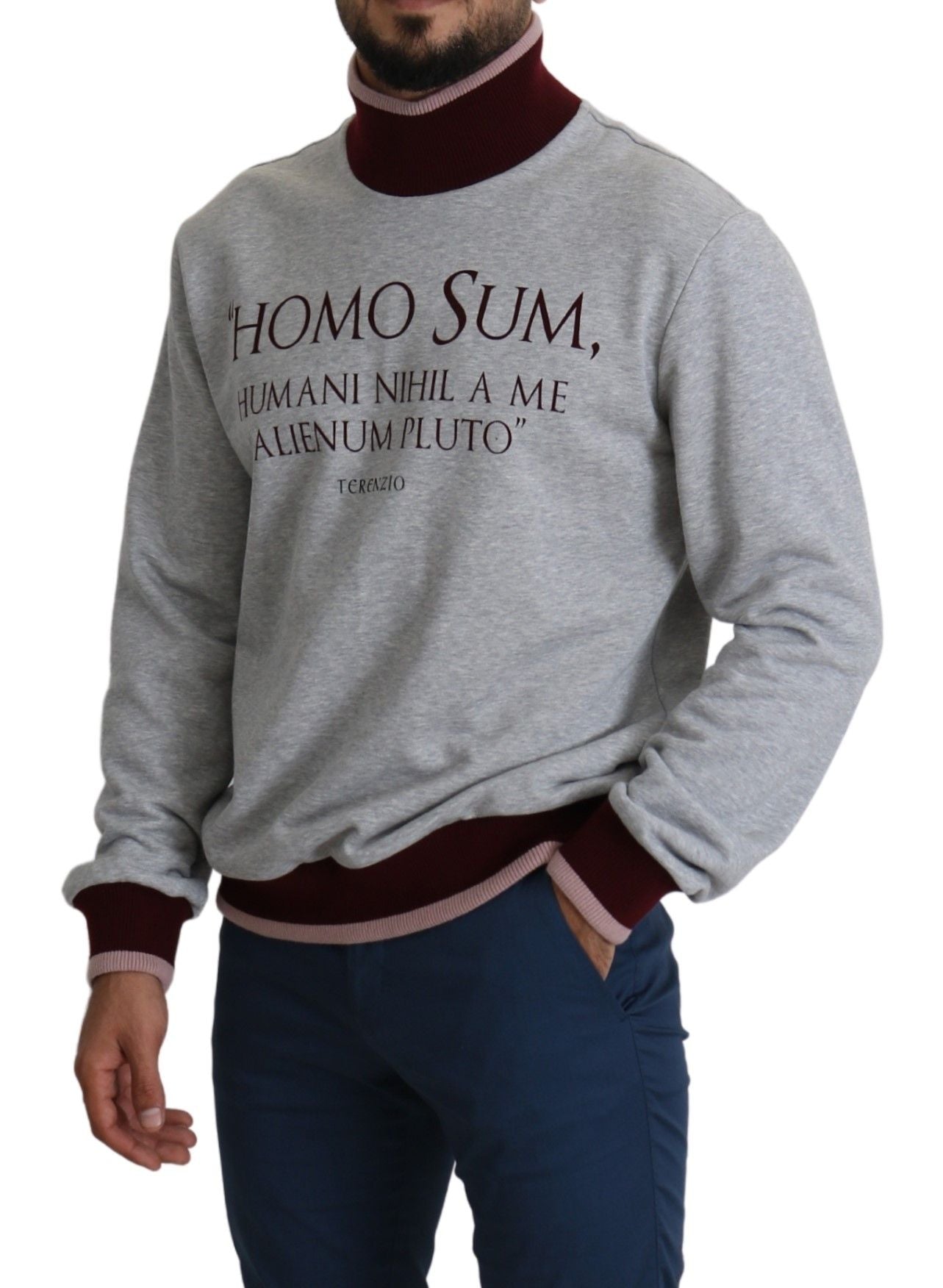 - Elegant Gray Turtleneck Latin Motif Pullover