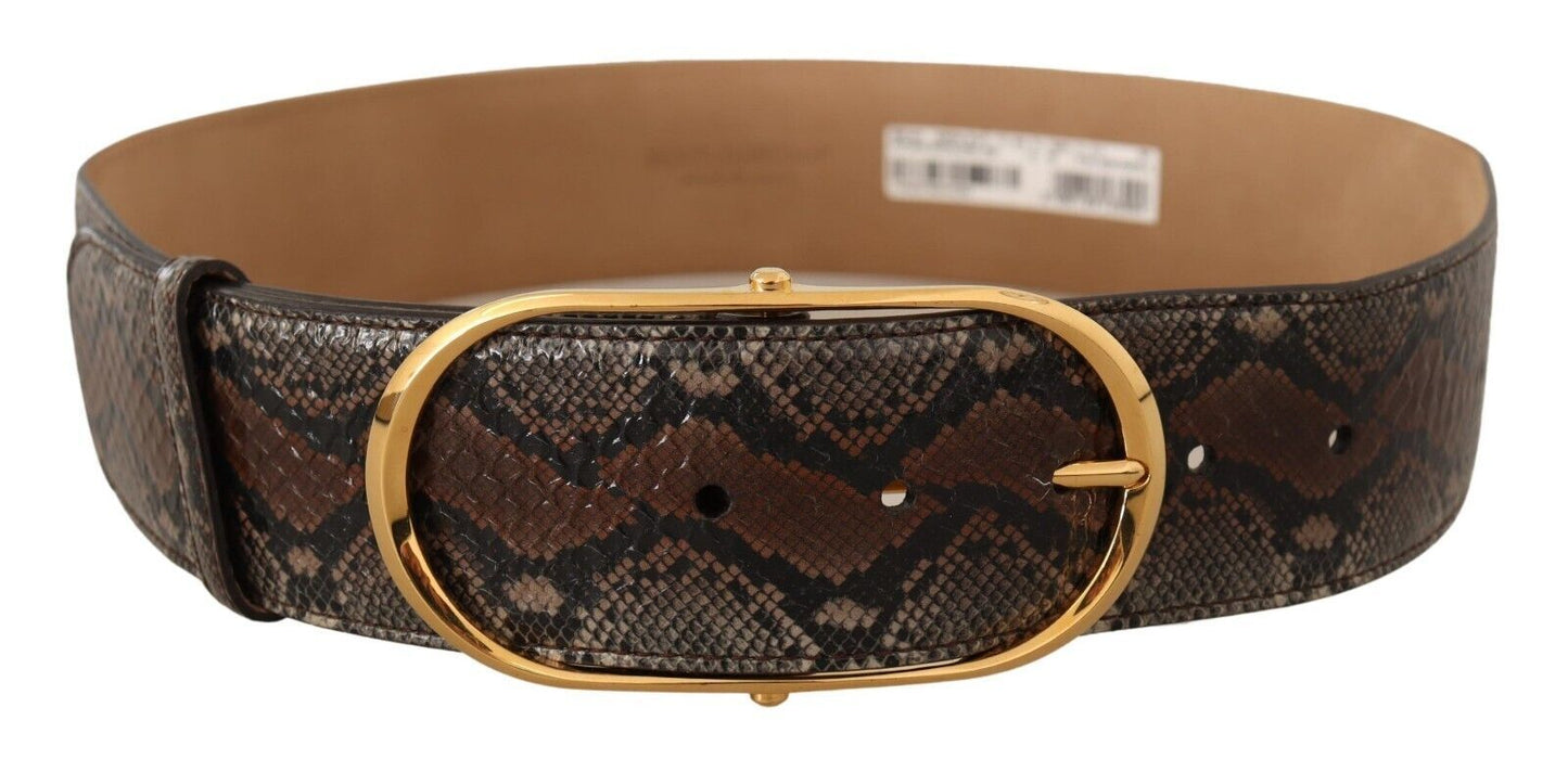 - Brown Snakeskin Print Leather Belt with Gold Buckle