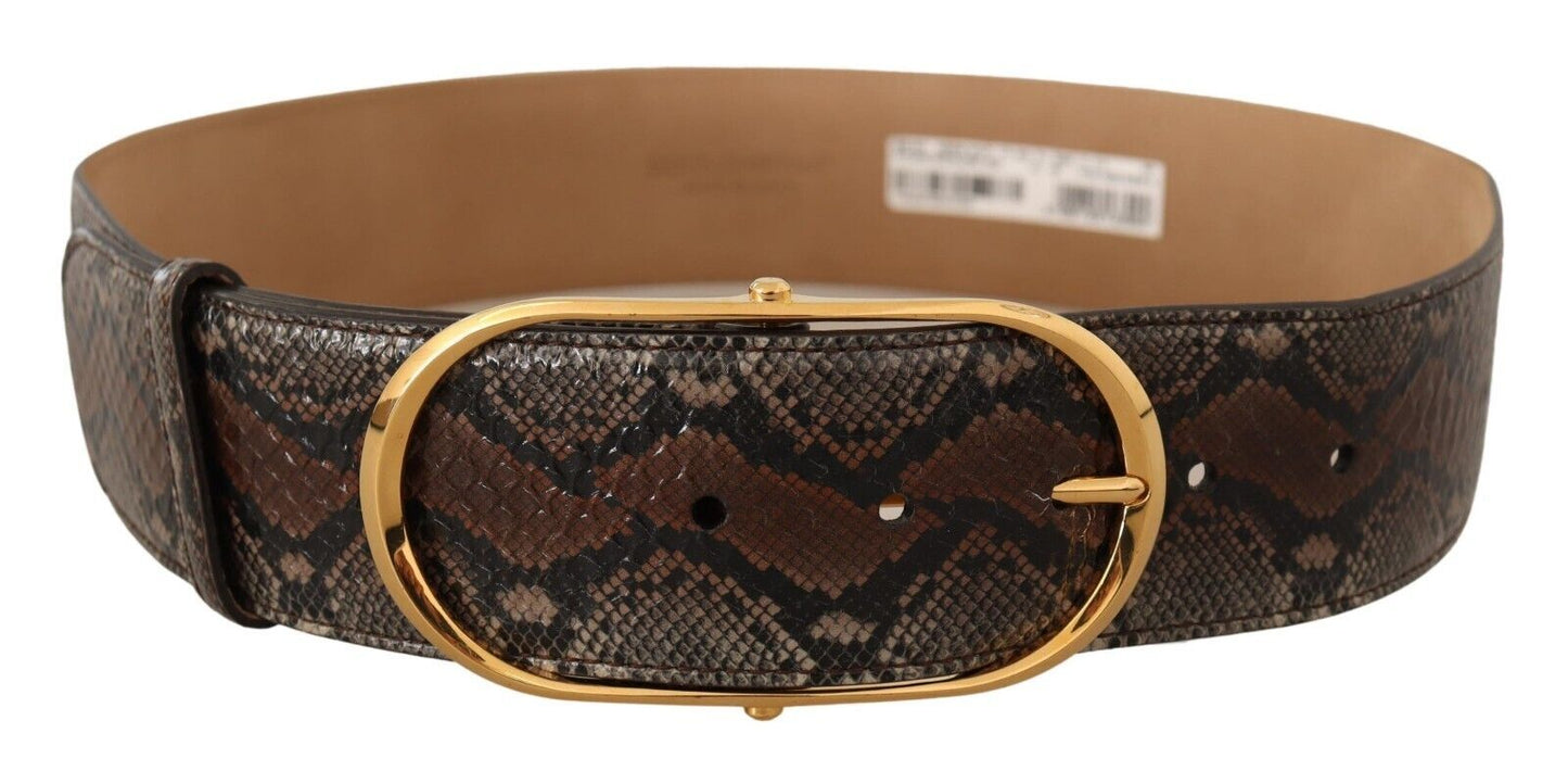 - Brown Snakeskin Print Leather Belt with Gold Buckle