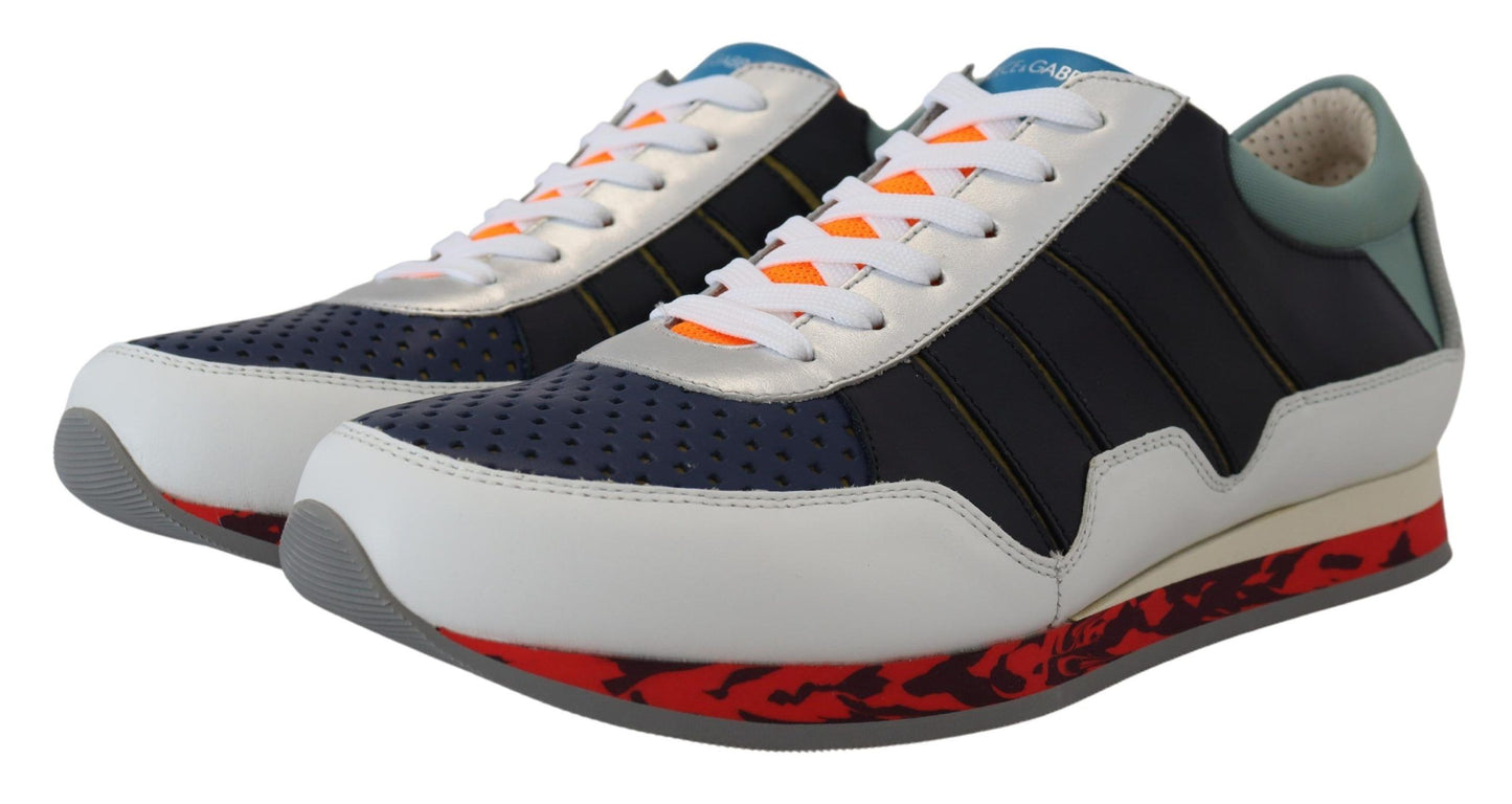 - Elegant Multicolor Low Top Sneakers