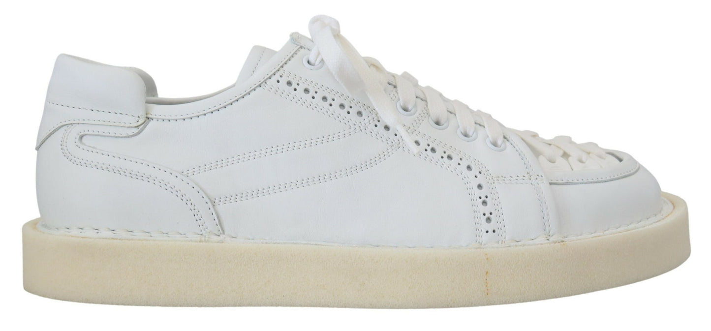 - Elegant White Low Top Oxford Sneakers
