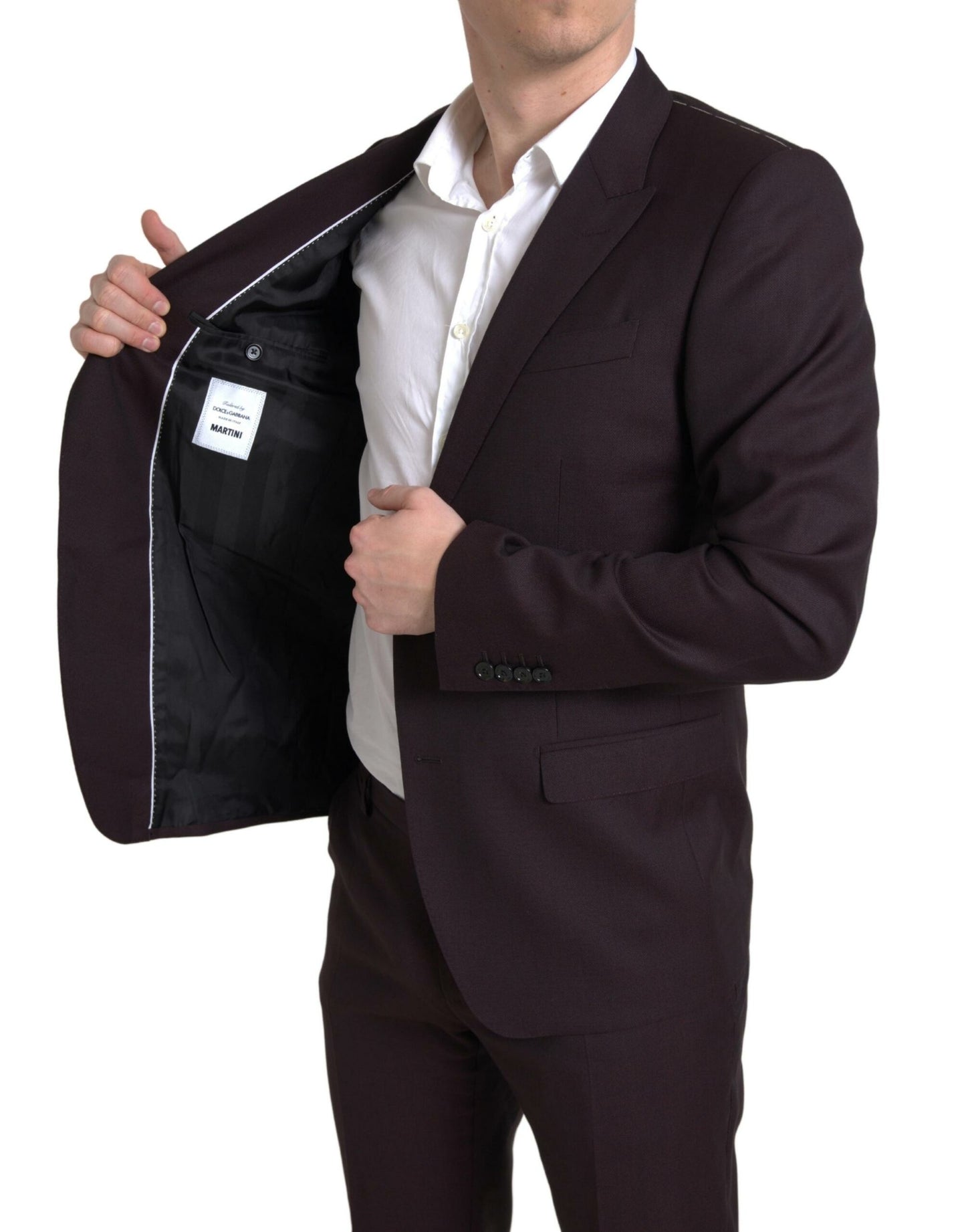 - Maroon Martini Slim Fit 2-Piece Suit