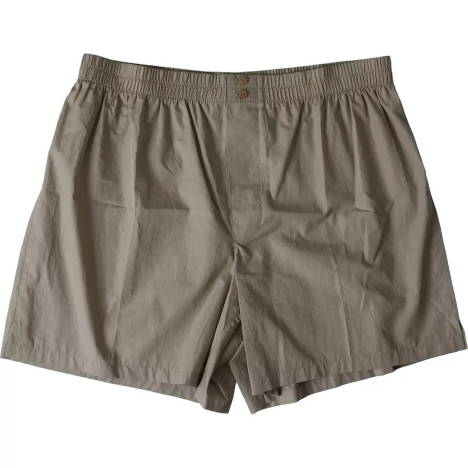 - Brown Cotton Regular Boxer Shorts Underwear