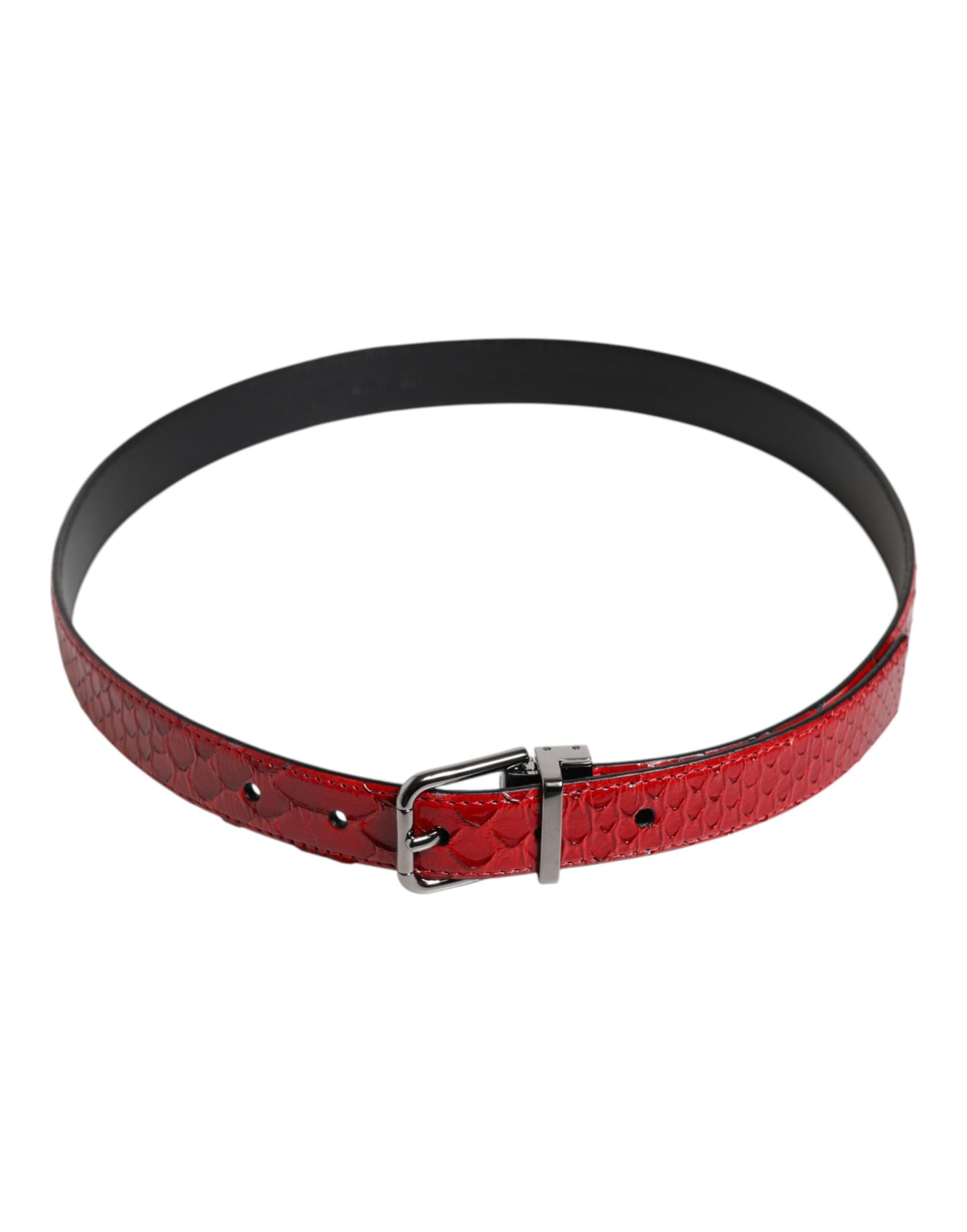 Dolce & Gabbana Red Exotic Leather Brass Buckle Belt