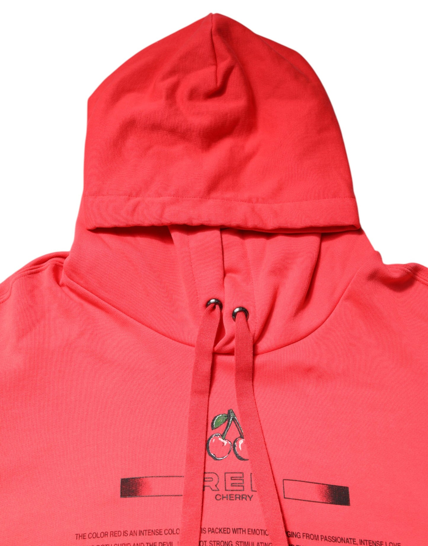 Dolce & Gabbana Red Logo Printed Hooded Sweatshirt
