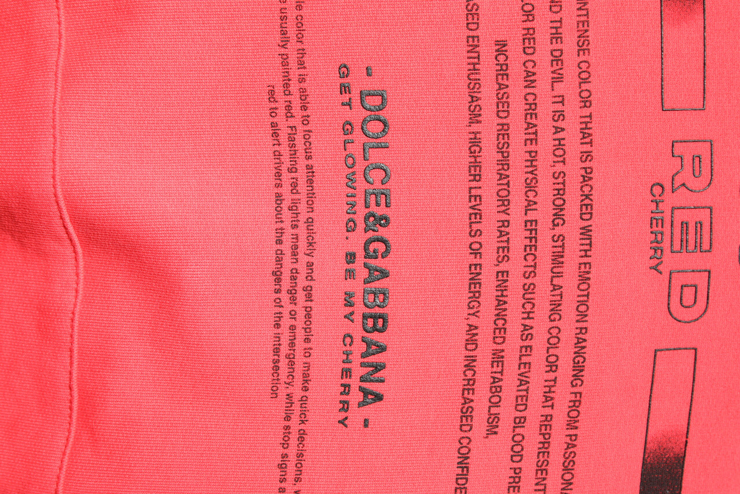 Dolce & Gabbana Red Logo Printed Hooded Sweatshirt