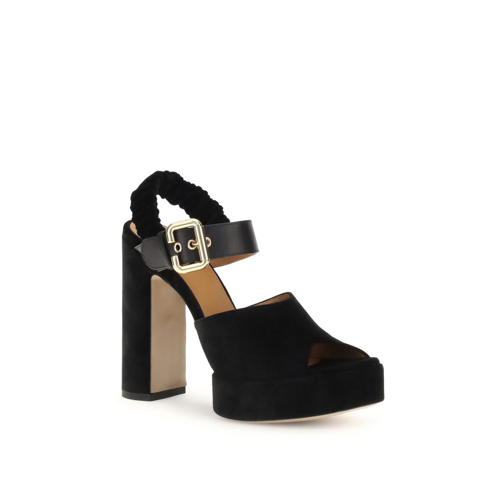 Chloé Aria Pumps - Velvet Elegance Redefined