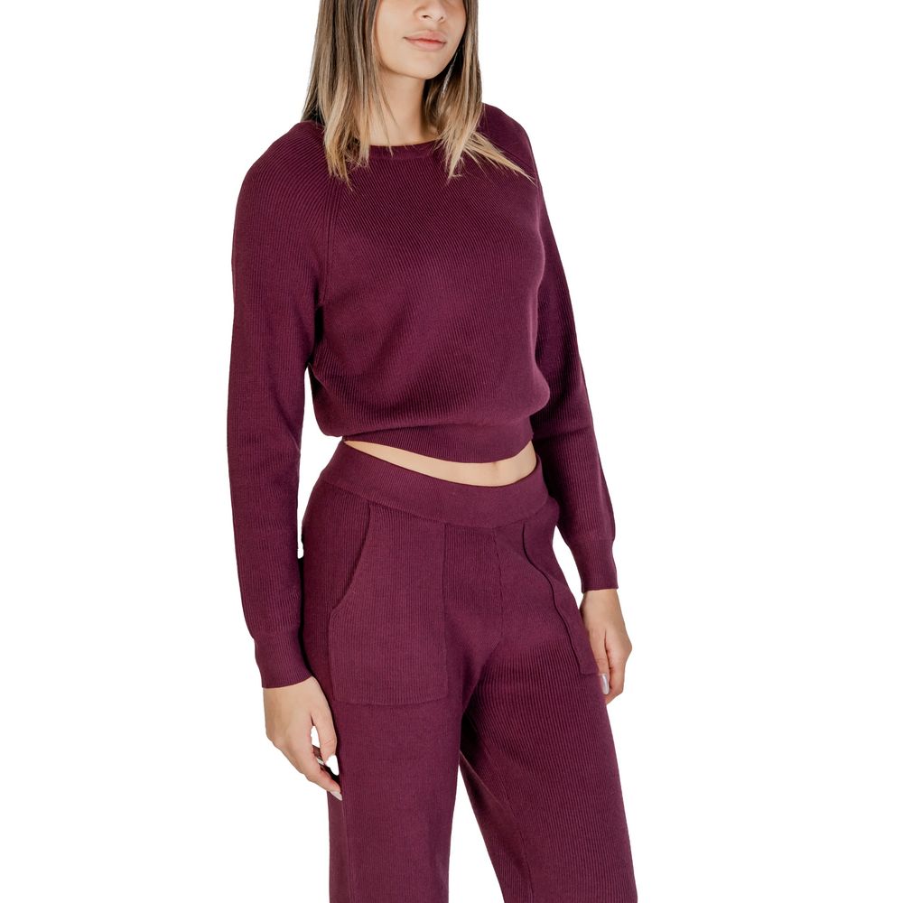 Cleré Purple Viscose Sweater for Women