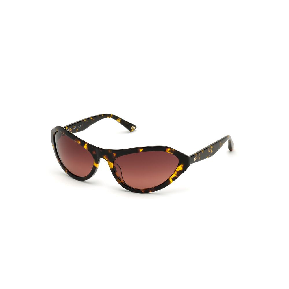 WEB EYEWEAR Women’s Sunglasses – Brown Plastic Frame, Gradient Lenses