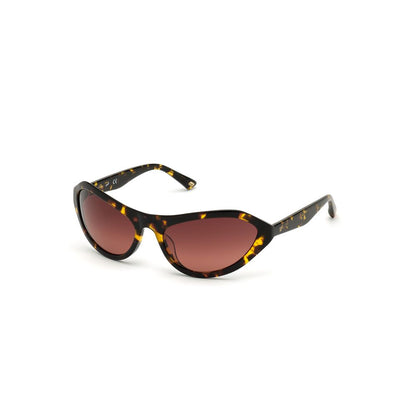 WEB EYEWEAR Women’s Sunglasses – Brown Plastic Frame, Gradient Lenses