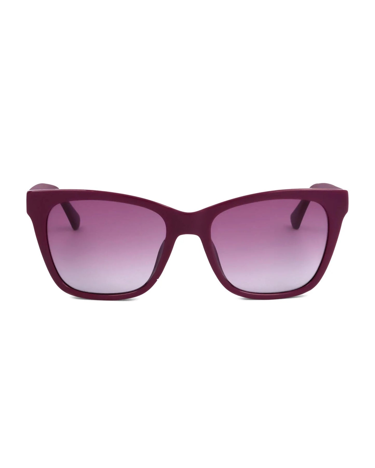 Calvin Klein Women’s Sunglasses – Purple Plastic Frame, Polarized Lenses