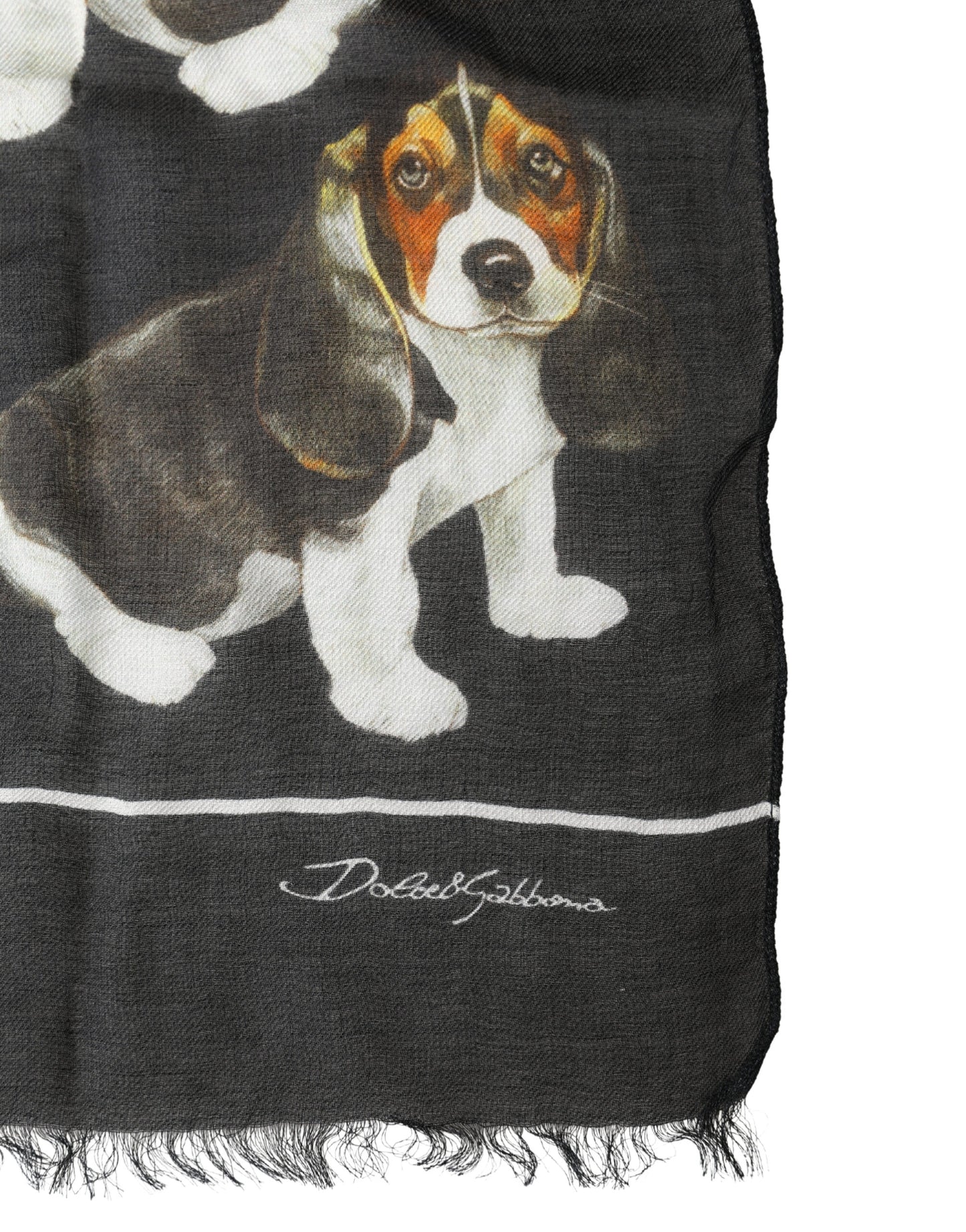 Dolce & Gabbana Black Dog Print Modal Wool Wrap Foulard