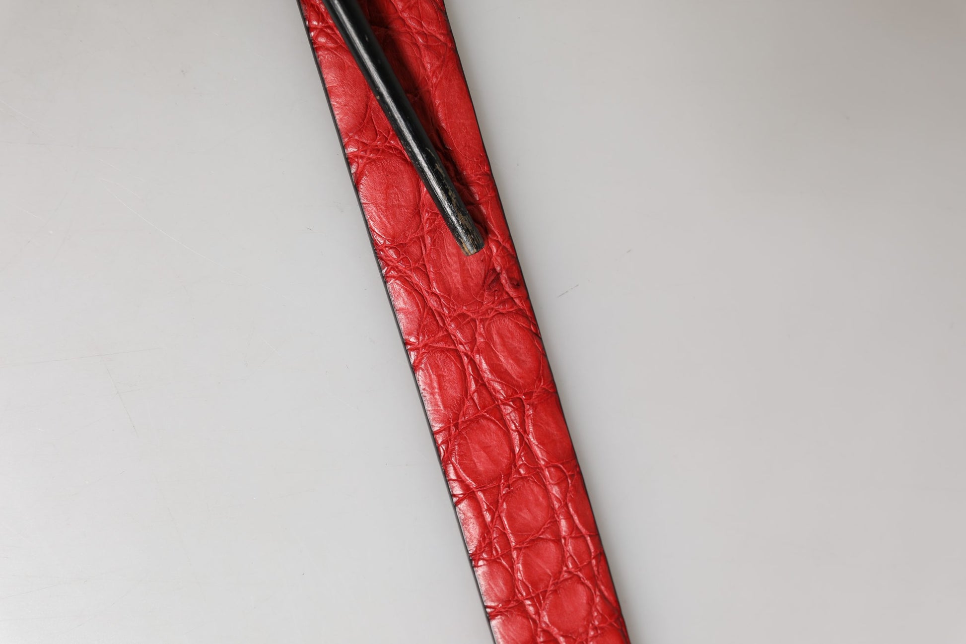 Dolce & Gabbana Men Red Exotic Leather Metal Buckle Belt - check