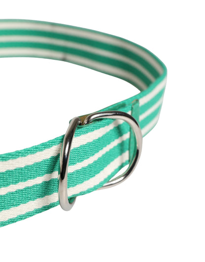Red Valentino White and Green Striped Canvas Belt with Silver Metal Buckle - Minor Defect