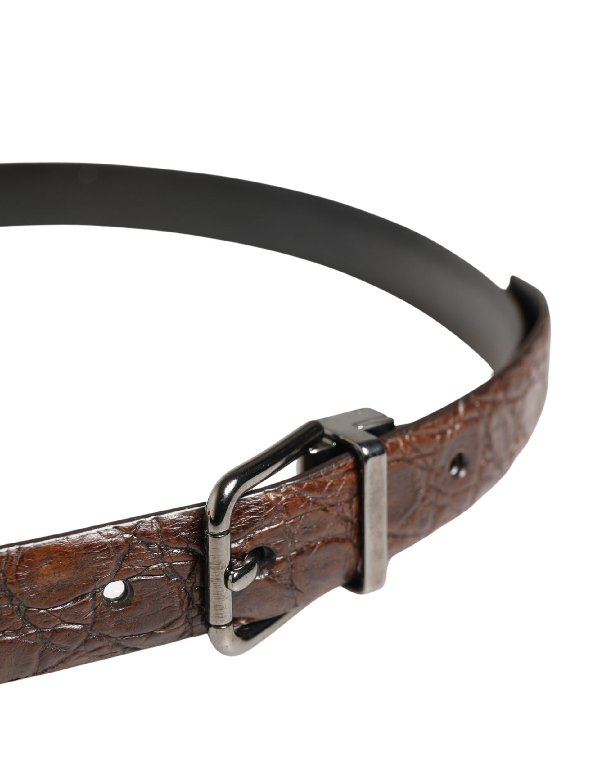 Dolce & Gabbana Brown Caiman Leather Belt with Silver Tone Buckle