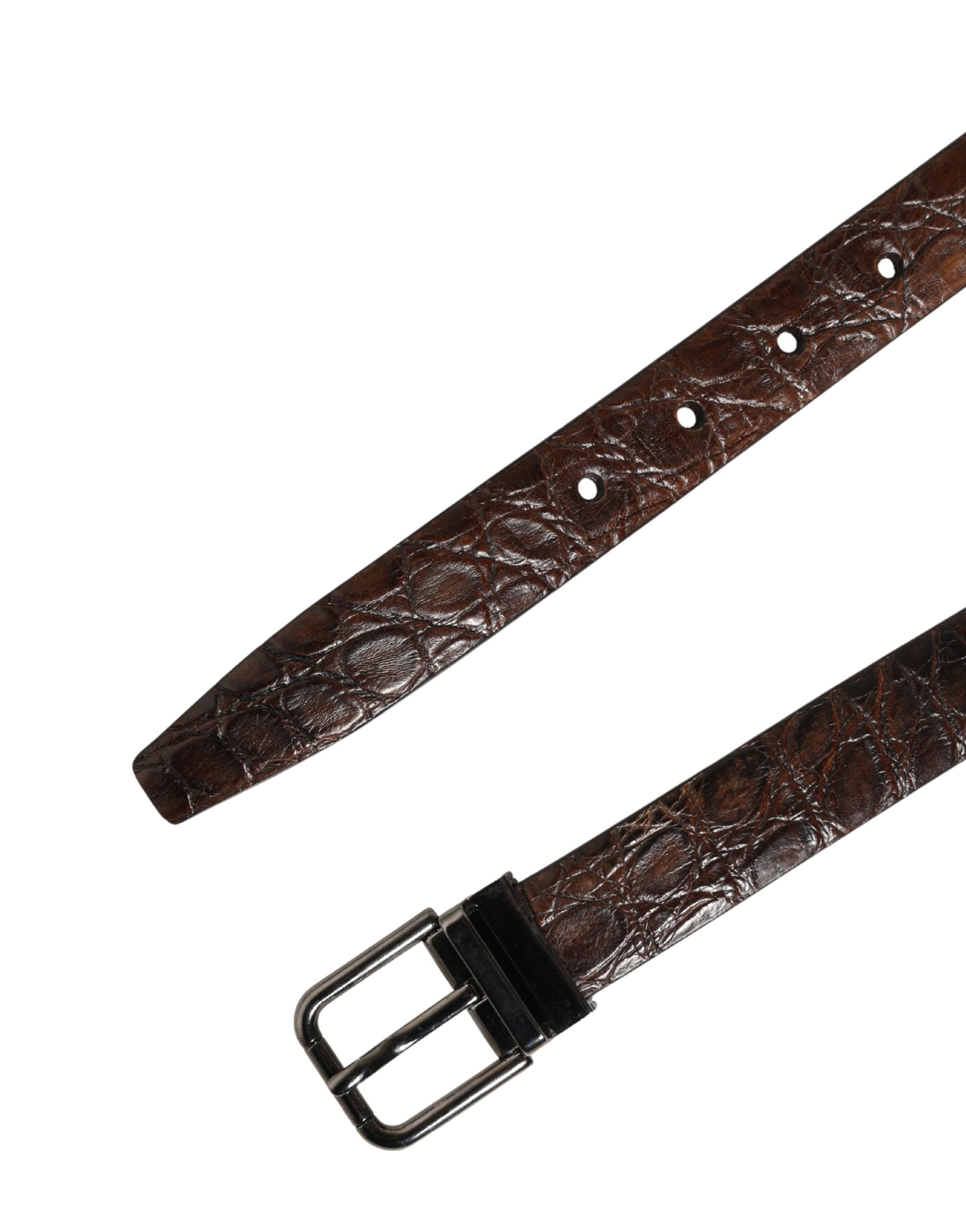 Dolce & Gabbana Brown Caiman Leather Belt with Silver Tone Buckle