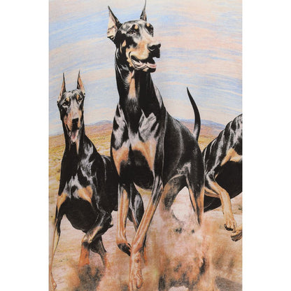Represent Western Dobermans Hoodie