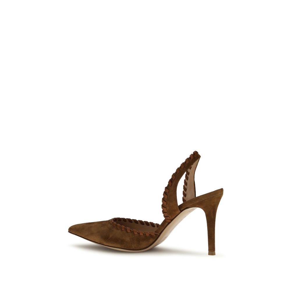Gianvito Rossi Brown Calf Leather Bos Taurus Pumps
