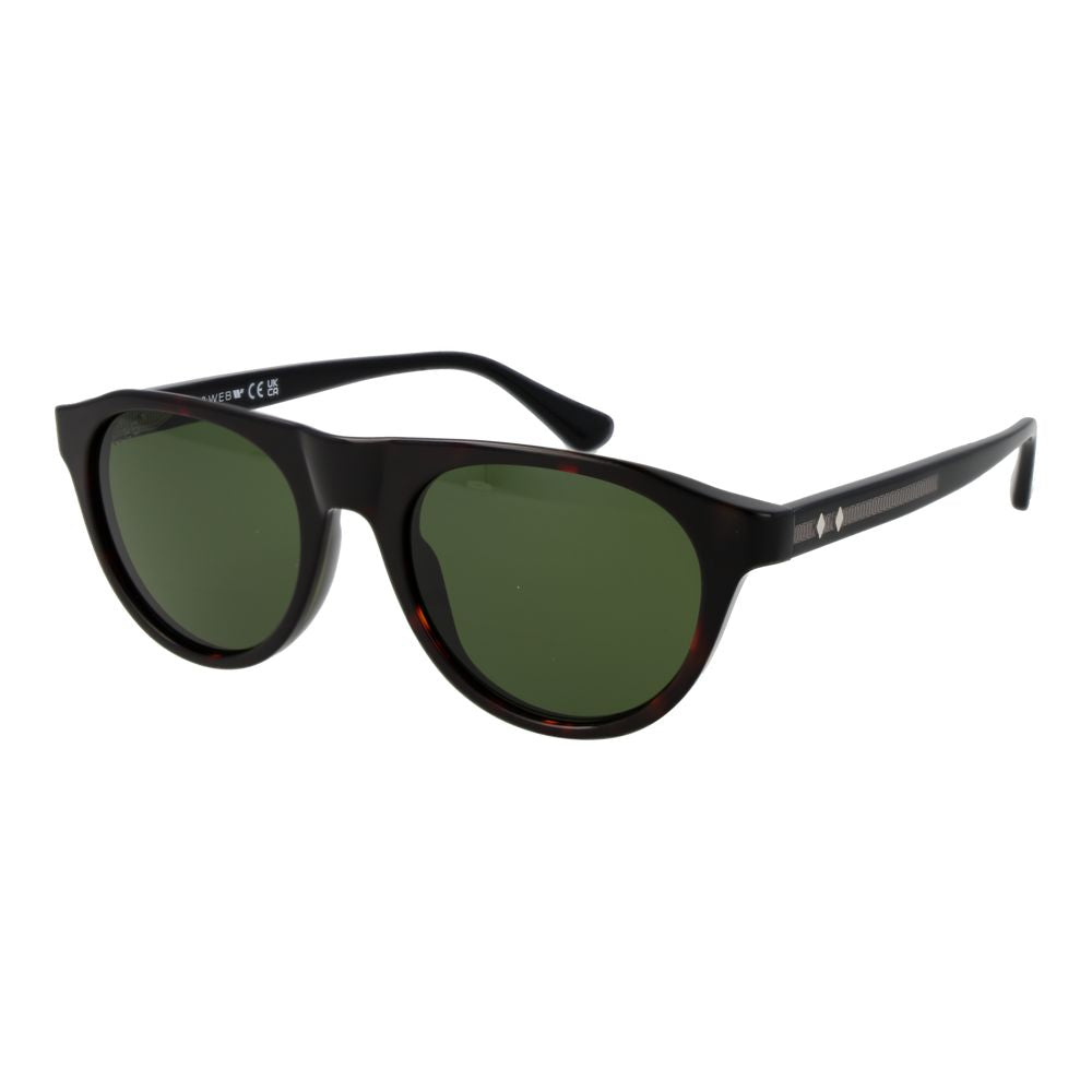Web Brown Plastic Sunglasses – Full-Rim Panto Frame, Green Lenses