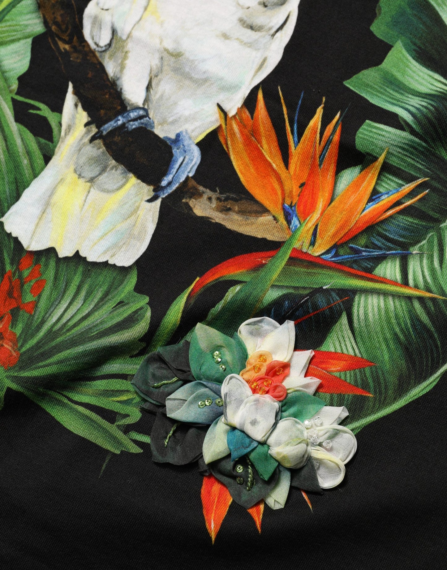 Dolce & Gabbana Black Tropical Jungle Print Cotton Round Neck T-Shirt