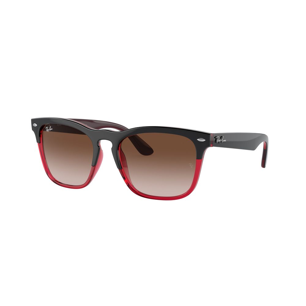 Ray-Ban Unisex Sunglasses – Multicolour Nylon Frame, Brown Lenses