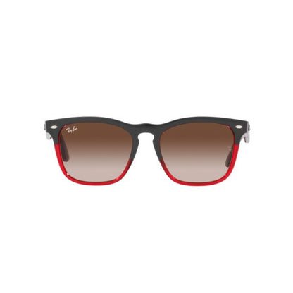 Ray-Ban Unisex Sunglasses – Multicolour Nylon Frame, Brown Lenses