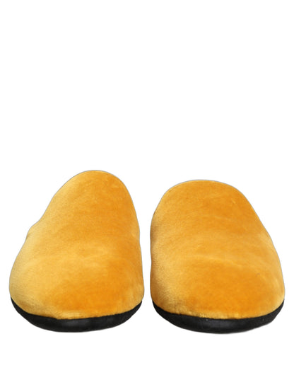 Dolce & Gabbana Yellow Suede Slides - Elegance Meets Comfort