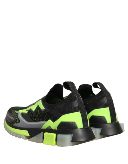Dolce & Gabbana Black Green Sorrento Low Top Sneakers