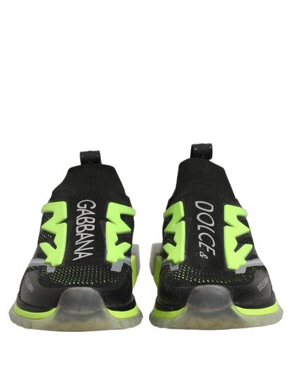 Dolce & Gabbana Black Green Sorrento Low Top Sneakers