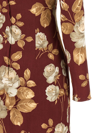 Dolce & Gabbana Multicolor Elastane Midi Dress