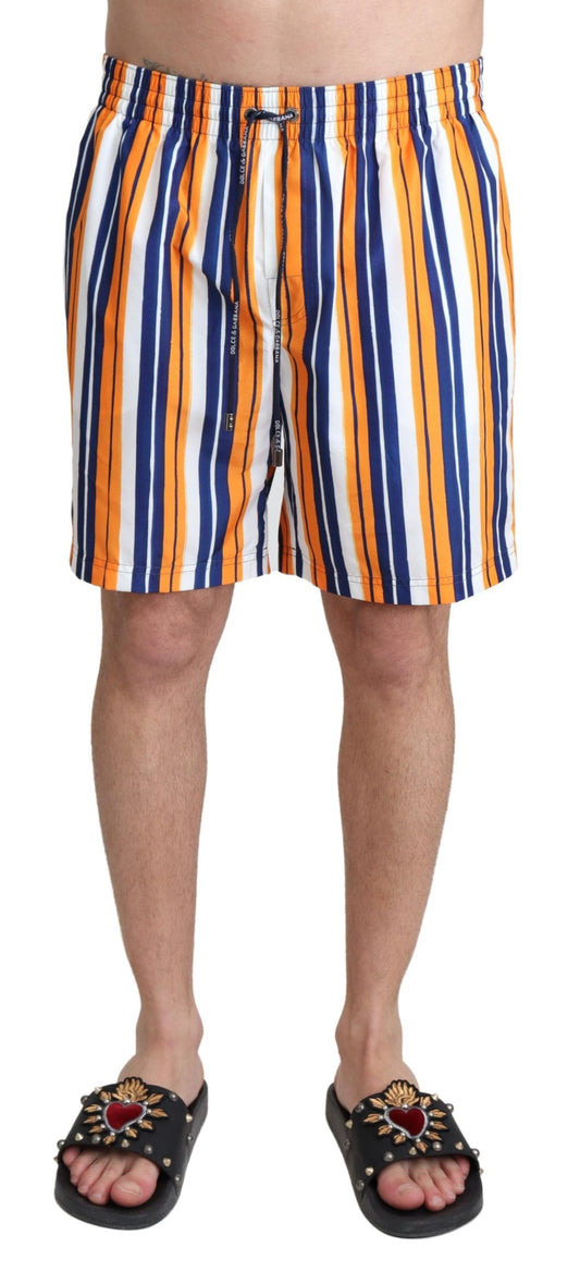  - Multicolor Striped Swim Shorts Trunks