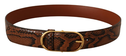  - Brown Snakeskin Print Leather Belt with Gold Buckle