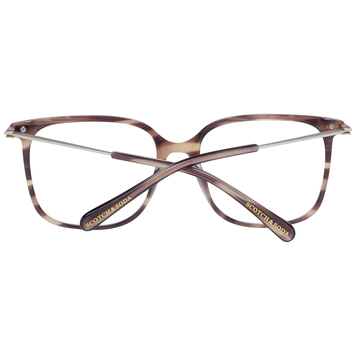 Scotch & Soda Women's Square Acetate Eyewear Frames – Brown
