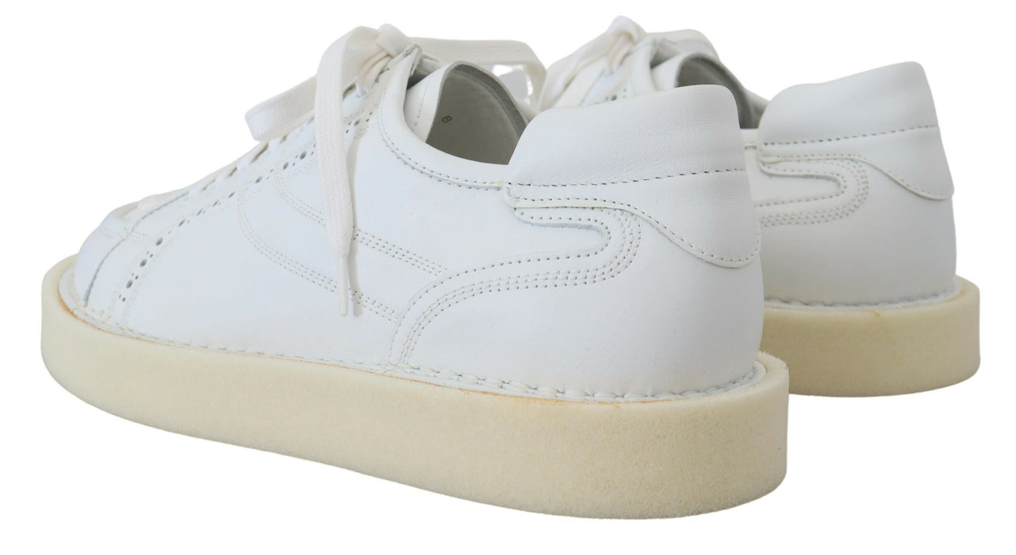  - Elegant White Low Top Oxford Sneakers