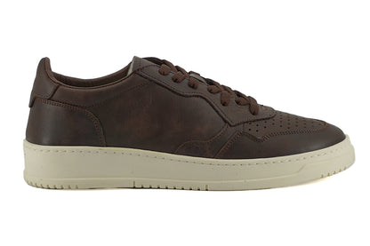  - Exclusive Leather Fabric Sneakers in Brown