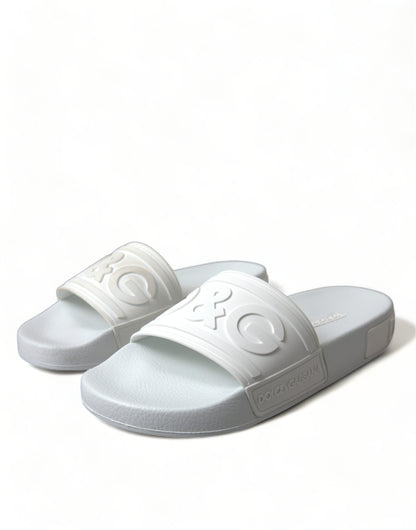  - Elegant White Logo Slides