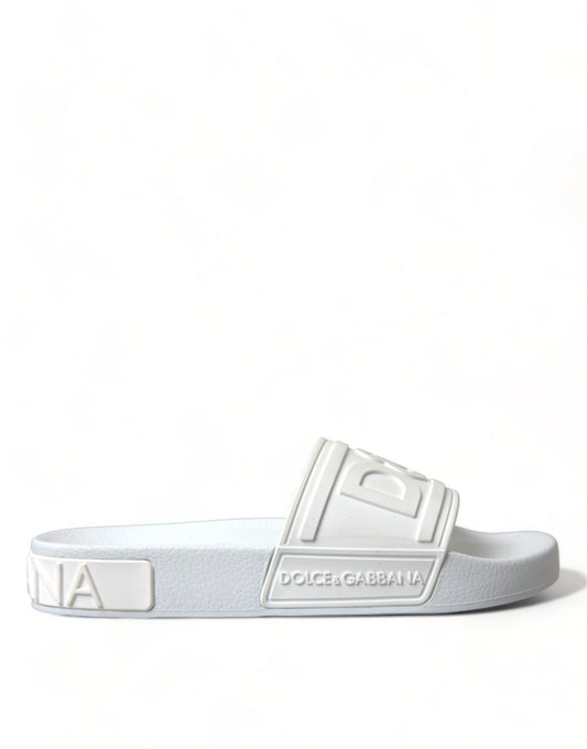  - Elegant White Logo Slides