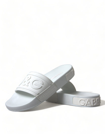  - Elegant White Logo Slides