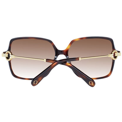 Brown Women Sunglasses