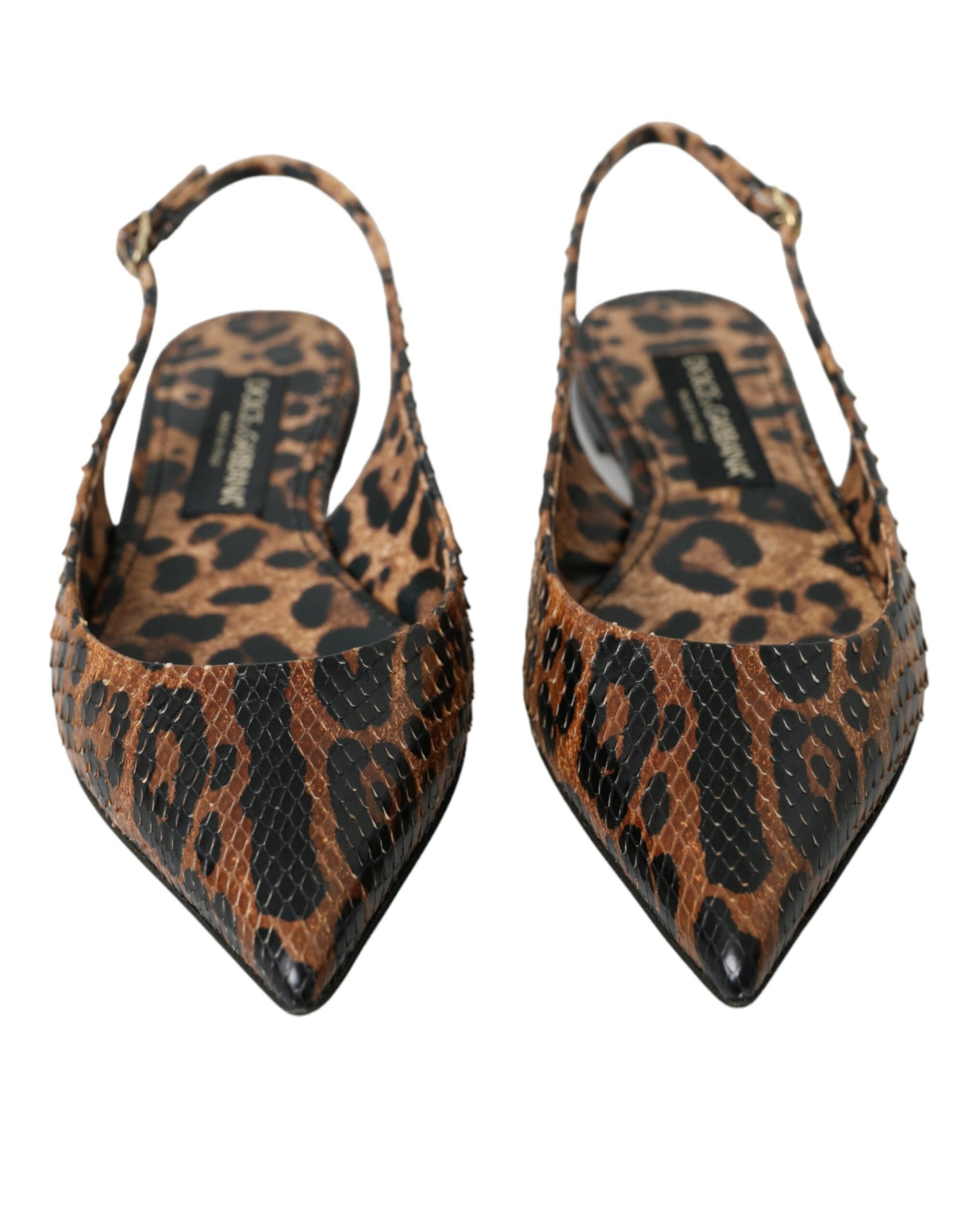 Brown Leopard Exotic Skin Slingback Shoes by Dolce & Gabbana
