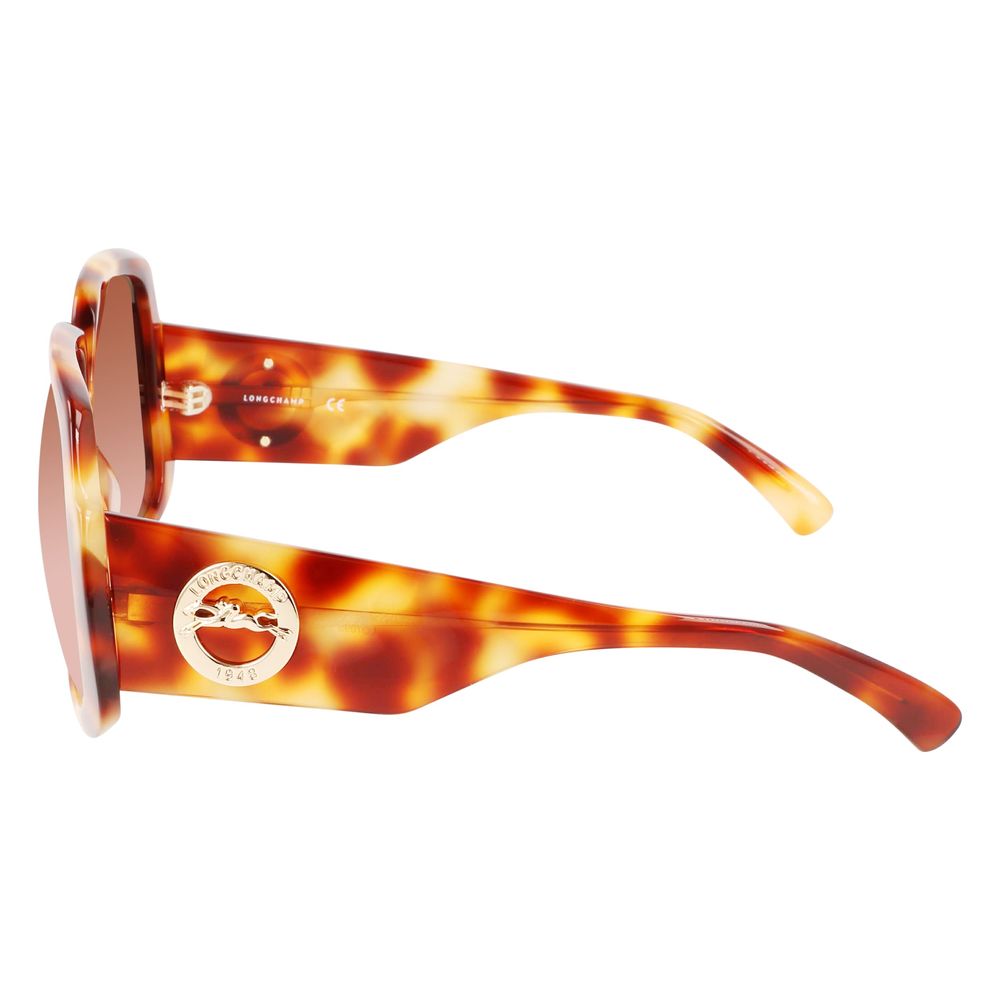 Brown Acetate Sunglasses - The Luxe Alliance