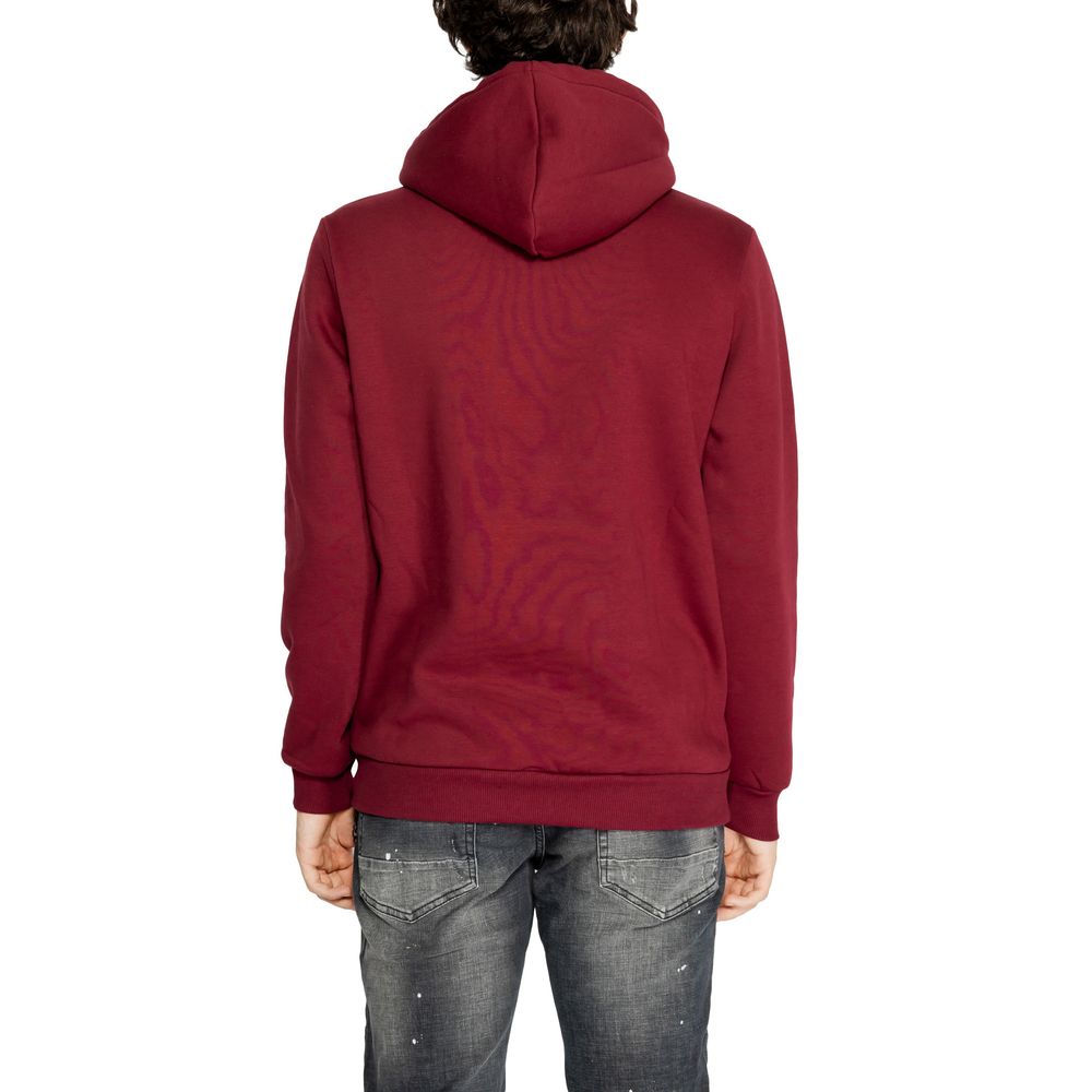 Bordeaux Cotton Sweater - The Luxe Alliance