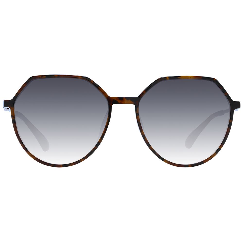  - Brown Women Sunglasses