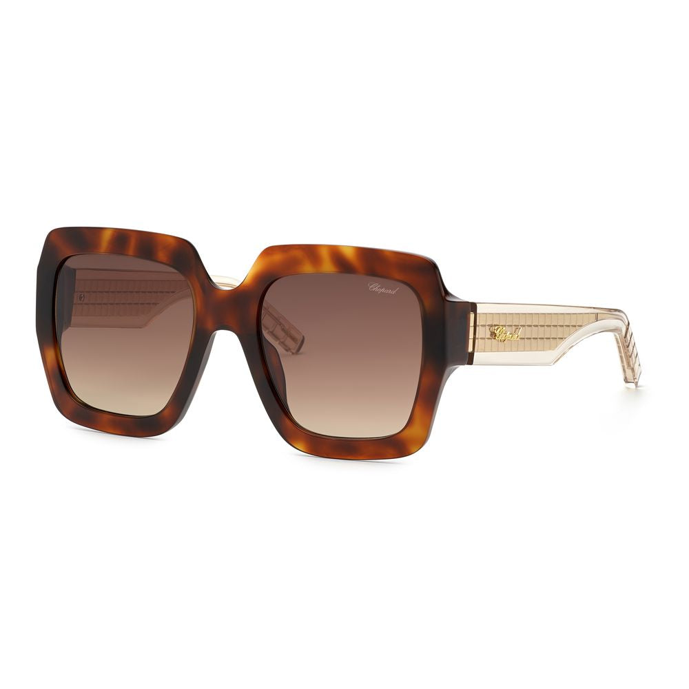  - Brown Acetate Sunglasses