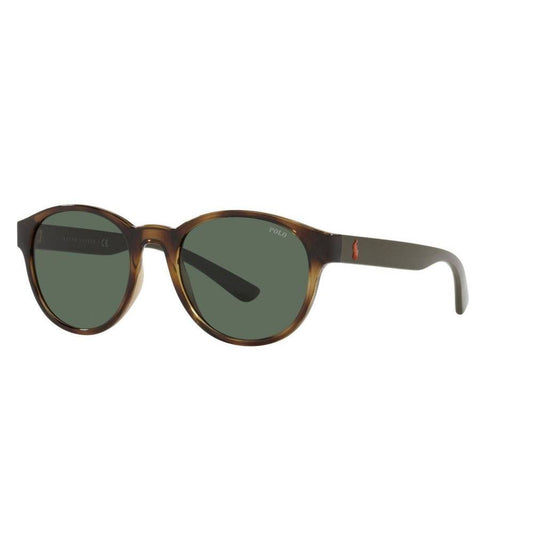  - Brown Acetate Sunglasses