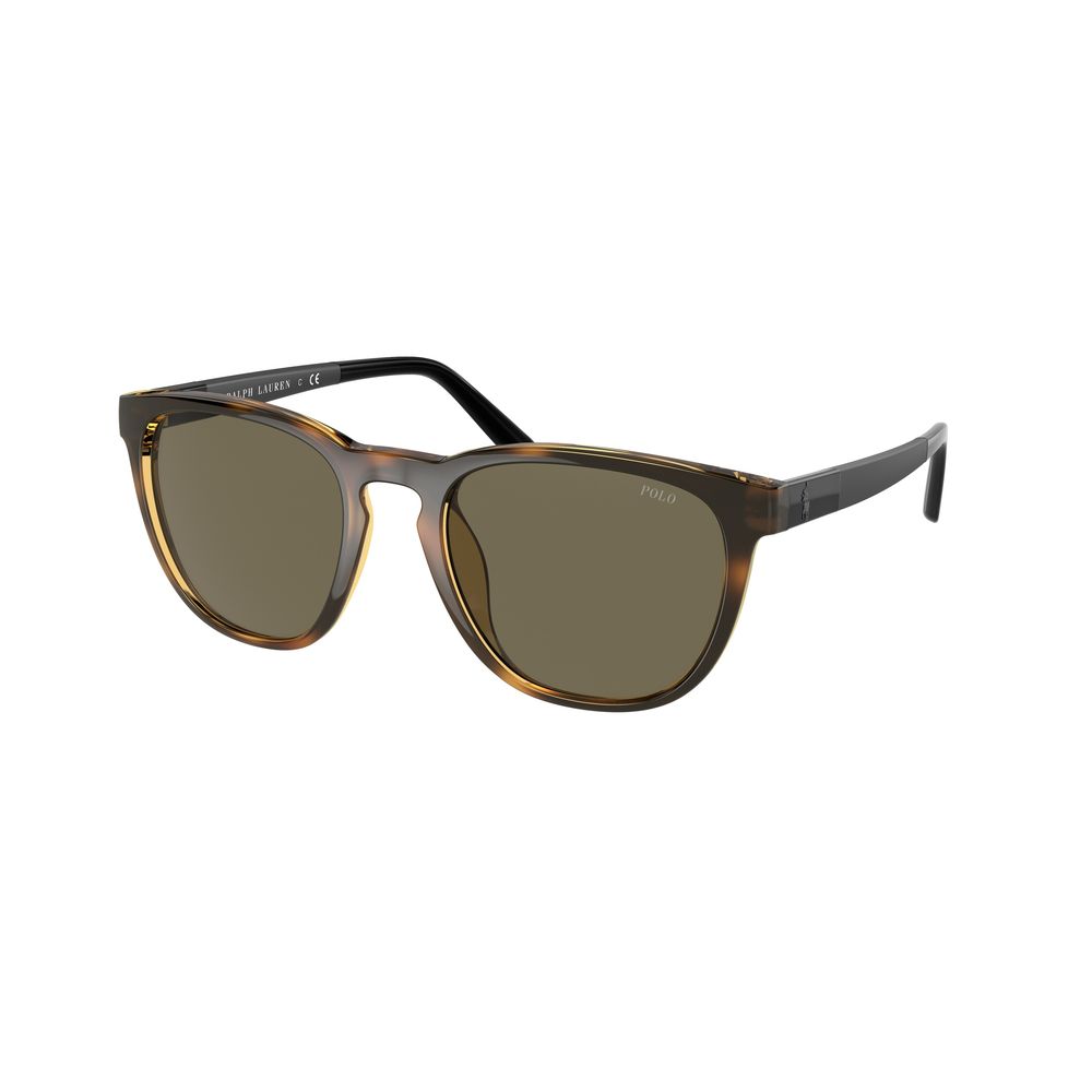  - Brown Acetate Sunglasses