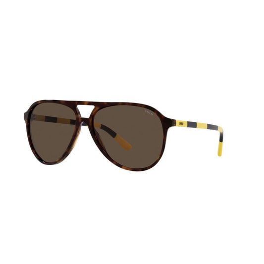  - Brown Acetate Sunglasses