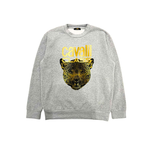 Cavalli Class Gray Men's Hoodie